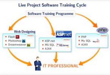 Programming Fundamentals Software Training Programming Fundamentals Software Training