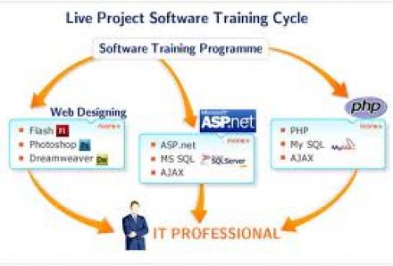 Programming Fundamentals Software Training